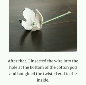 Meet your Posher, Brenda